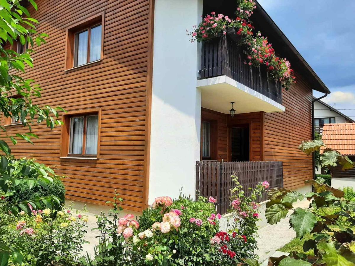 פאלה Aleksandar Apartmani מראה חיצוני תמונה